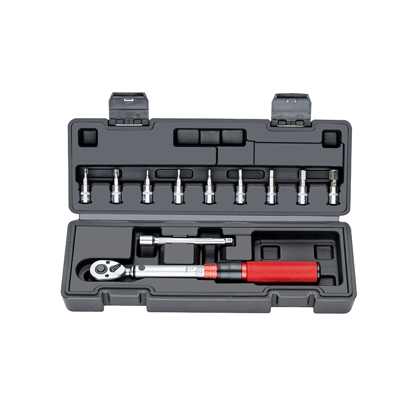 Juego de llaves dinamométricas de 11 piezas de 1/4" y 5-25 Nm